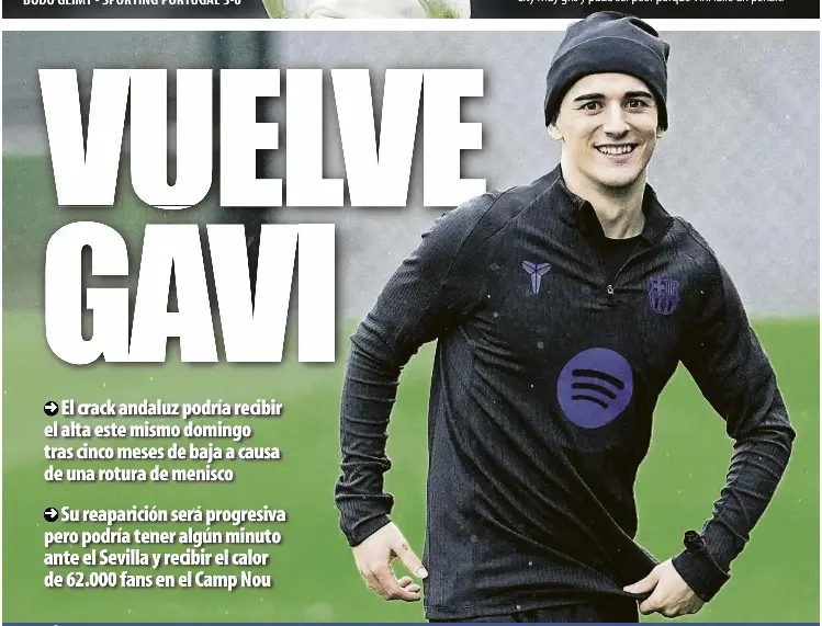 VUELVE GAVI