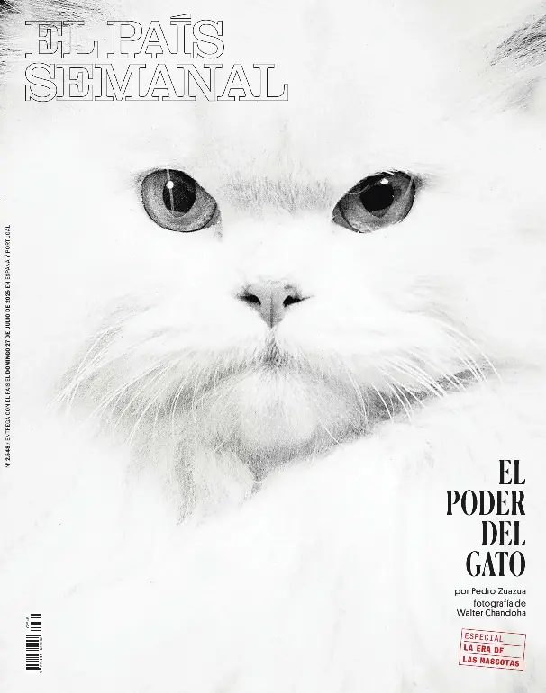 EL PODER DEL GATO