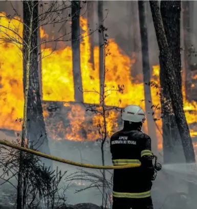 PORTUGAL, DESBORDADO POR 43 INCENDIOS SIMULTÁNEOS