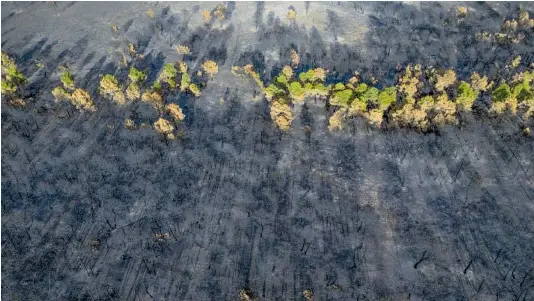 ESPAÑA QUEDA ATRAPADA EN LA EMERGENCIA CLIMÁTICA