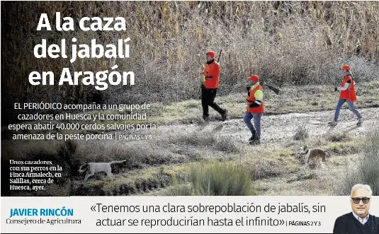 A LA CAZA DEL JABALÍ EN ARAGÓN