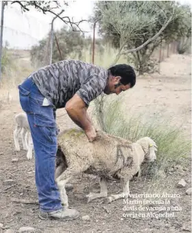 «ESTÁBAMOS ESPERANDO LAS VACUNAS COMO AGUA DE MAYO»