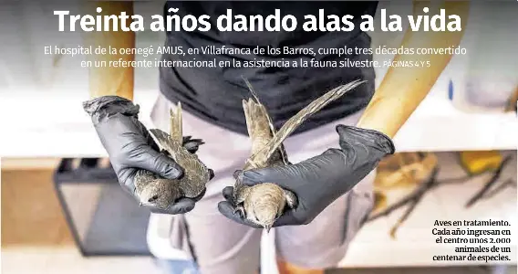 TREINTA AÑOS DANDO ALAS A LA VIDA