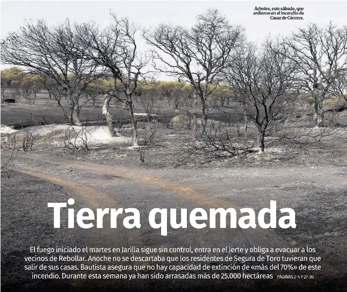 TIERRA QUEMADA