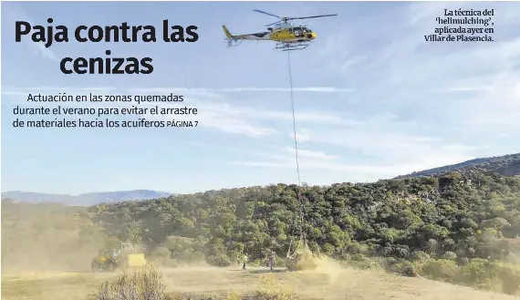 PAJA CONTRA LAS CENIZAS