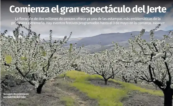 COMIENZA EL GRAN ESPECTÁCULO DEL JERTE