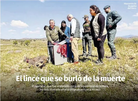EL LINCE QUE SE BURLÓ DE LA MUERTE