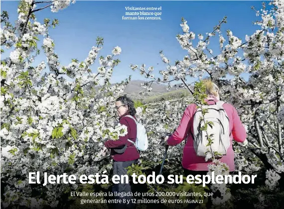 EL JERTE ESTÁ EN TODO SU ESPLENDOR