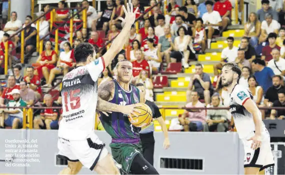 BALONCESTO DE ÉLITE EN VISTA ALEGRE