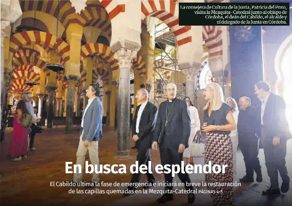 EN BUSCA DEL ESPLENDOR