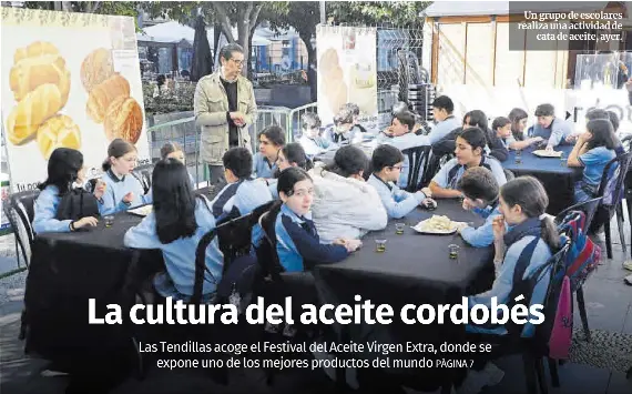 LA CULTURA DEL ACEITE CORDOBÉS