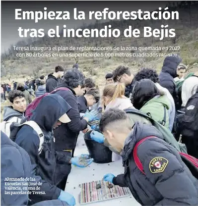 EMPIEZA LA REFORESTACIÓN TRAS EL INCENDIO DE BEJÍS