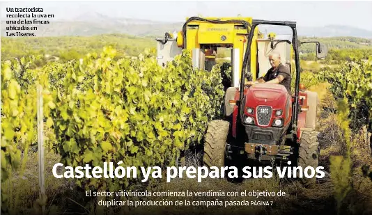CASTELLÓN YA PREPARA SUS VINOS