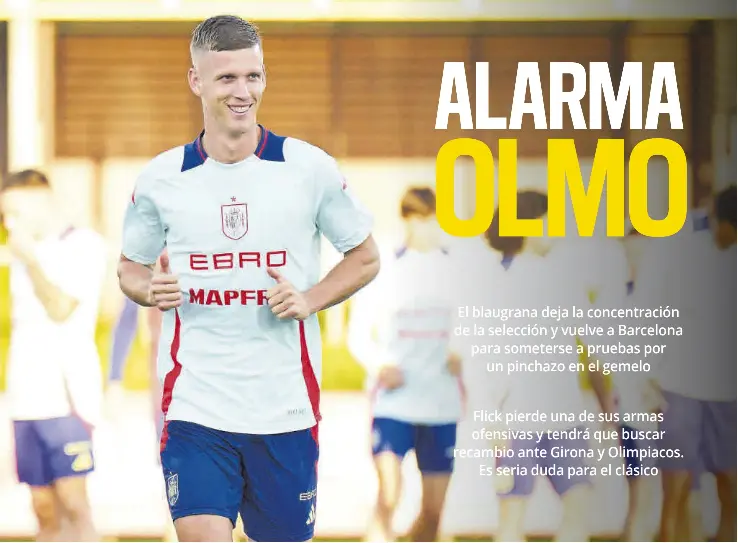 ALARMA OLMO
