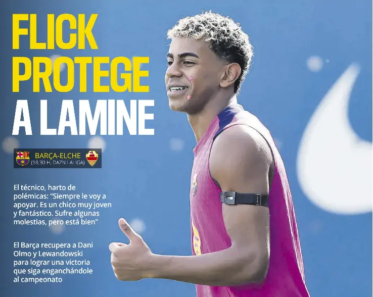 FLICK PROTEGE A LAMINE