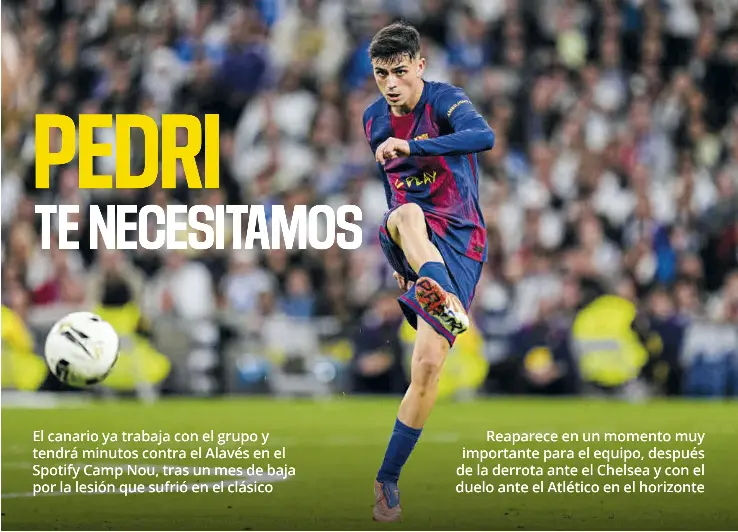 PEDRI TE NECESITAMOS