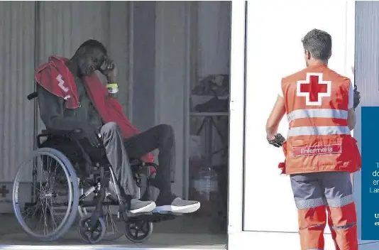 REPUNTE MIGRATORIO EN CANARIAS