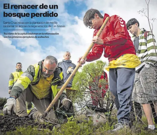 EL RENACER DE UN BOSQUE PERDIDO