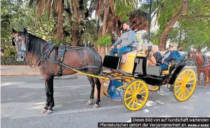 MARBELLA: JUNGER MANN IN PUERTO BANÚS ERSCHOSSEN