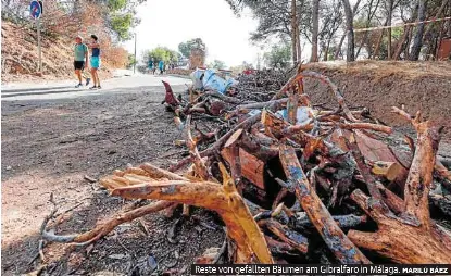 EIN JAHR NACH DER STURZFLUT AM GUADALHORCE