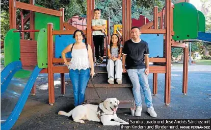 RYANAIR ZWINGT PASSAGIERE AUF DIGITALEN WEG