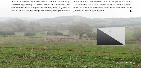 LA SUERTE ESTÁ ECHADA