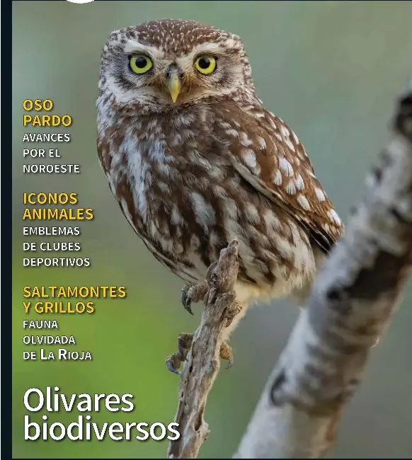 OLIVARES BIODIVERSOS