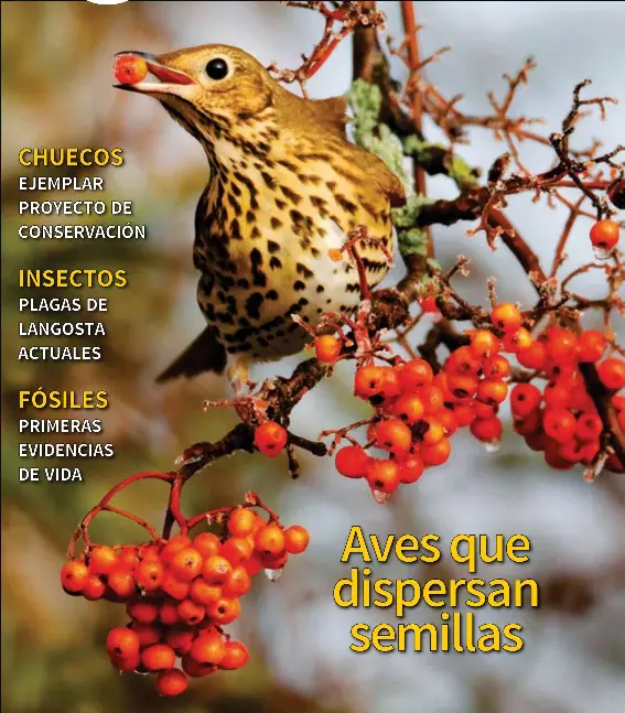 AVES QUE DISPERSAN SEMILLAS