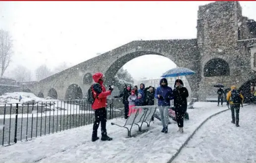CAP DE SETMANA AMB NEU A DOJO