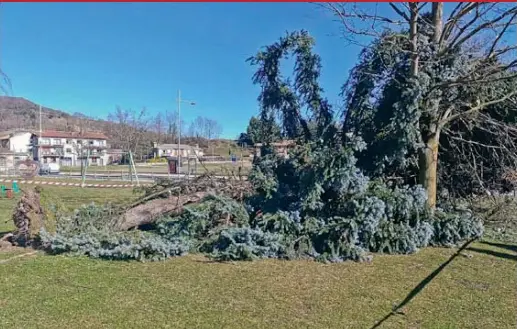 UNA CINQUANTENA D’INCIDENTS PEL VENT