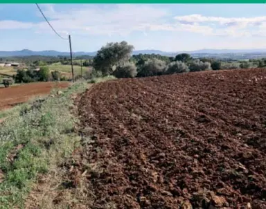 VISTIPLAU DEL GOVERN AL PARC SOLAR DE SAMALÚS