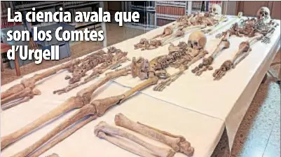 LA CIENCIA AVALA QUE SON LOS COMTES D’URGELL