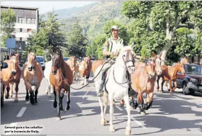 TRASHUMANCIA DE CABALLOS EN EL SOBIRÀ