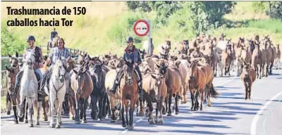 TRASHUMANCIA DE 150 CABALLOS HACIA TOR
