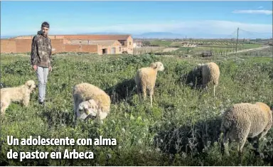 UN ADOLESCENTE CON ALMA DE PASTOR EN ARBECA