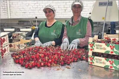 PRIMERAS CEREZAS EN EL BAIX SEGRE