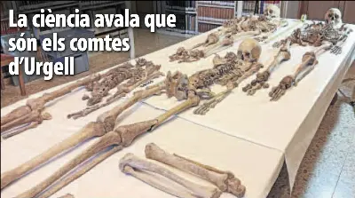 LA CIÈNCIA AVALA QUE SÓN ELS COMTES D’URGELL