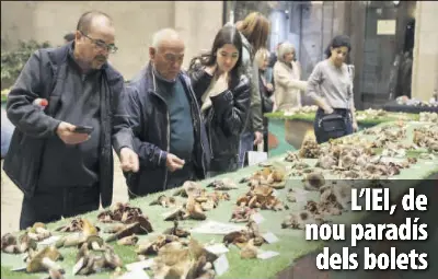 L’IEI, DE NOU PARADÍS DELS BOLETS