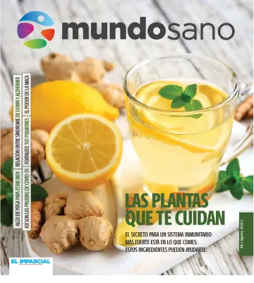Mundo Sano - 28 Ağu 2020
