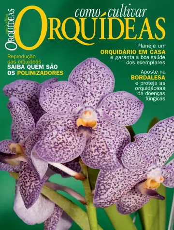 Como Cultivar Orquídeas - 14 6월 2022