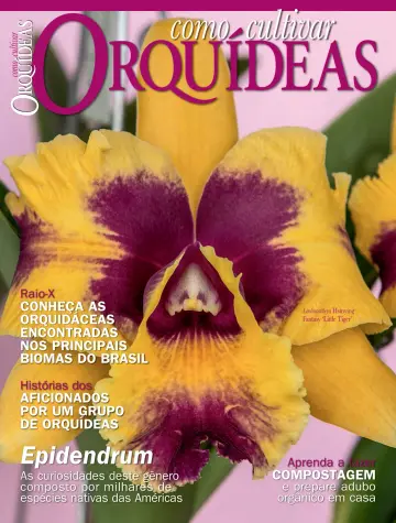 Como Cultivar Orquídeas - 19 7월 2022