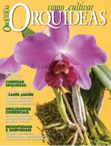 Como Cultivar Orquídeas - 14 9월 2022