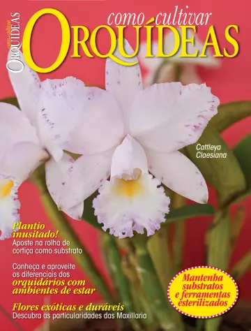 Como Cultivar Orquídeas - 20 10월 2022