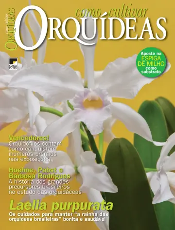 Como Cultivar Orquídeas - 21 Nov 2022
