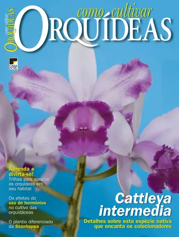 Como Cultivar Orquídeas - 23 1월 2023