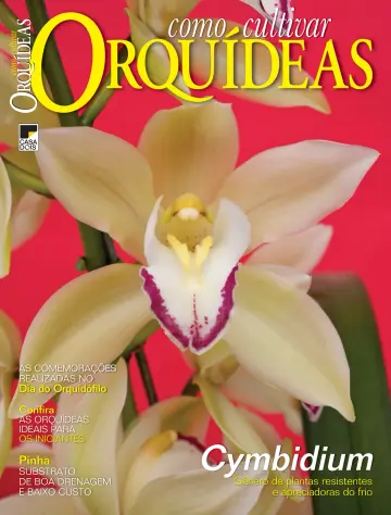 Como Cultivar Orquídeas - 22 3월 2023