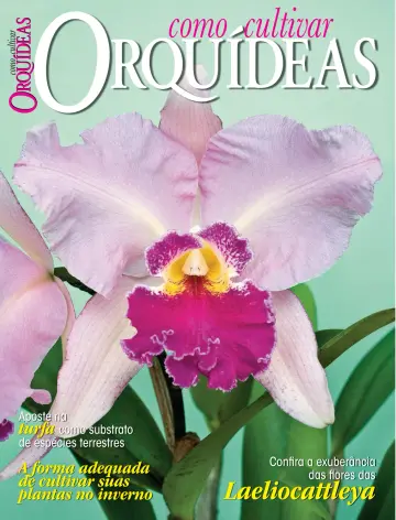 Como Cultivar Orquídeas - 19 4월 2023