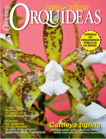 Como Cultivar Orquídeas - 21 Jun 2023