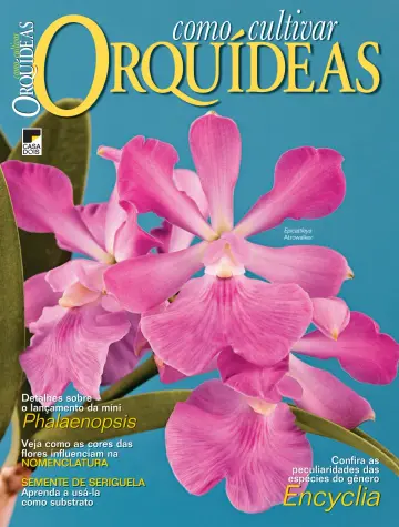 Como Cultivar Orquídeas - 24 Jul 2023