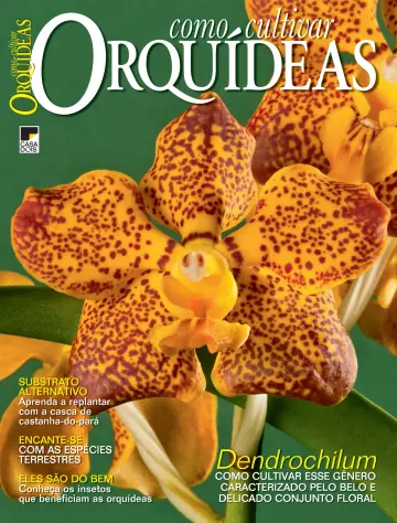 Como Cultivar Orquídeas - 28 8월 2023